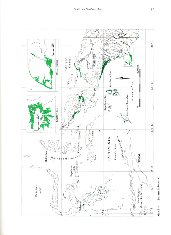 World Mangrove Atlas - aus dem Buch